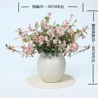 【花叶络石】阿哲盆栽室内四季五彩花卉耐热耐寒好养绿植