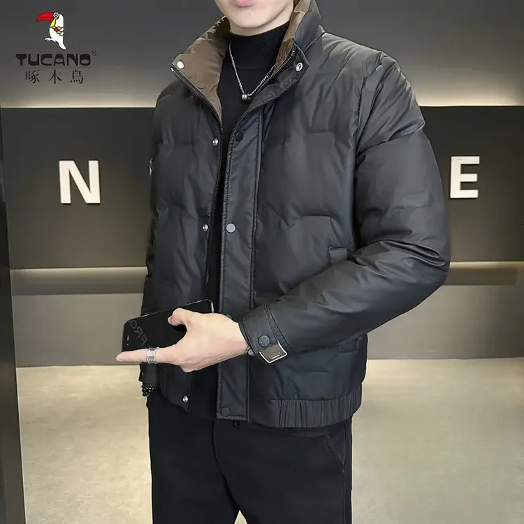 TUCANO/啄木鳥 保暖常规款字母轻薄立领男士棉服冬装上衣韩版时尚
