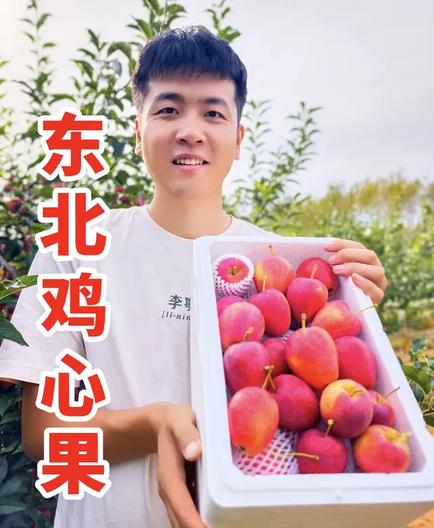 记录生活的肆一鸡心果5斤东北特产海棠果小苹果酸甜多汁