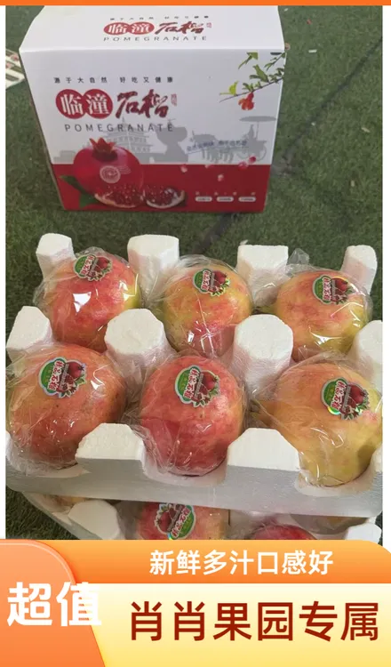 12枚装硬籽石榴新鲜采摘当季水果鲜甜多汁