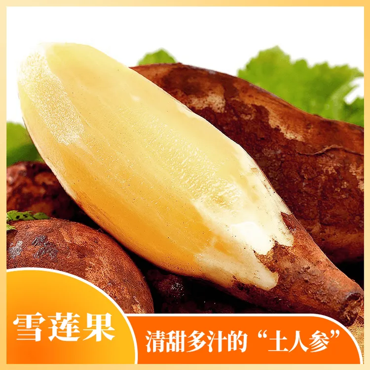 【坏果包赔】云南雪莲果5斤中/大果 单果150g-750g 4-16个