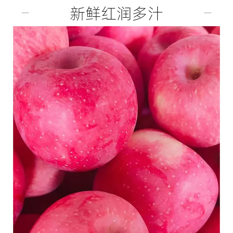 正宗陕西红富士苹果新鲜水果脆甜多汁 产地直发