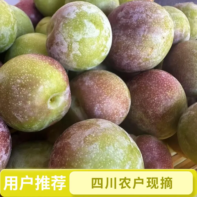 四川正宗脱骨半边红茵红李新鲜应季脆甜多汁爽口水果现摘现发
