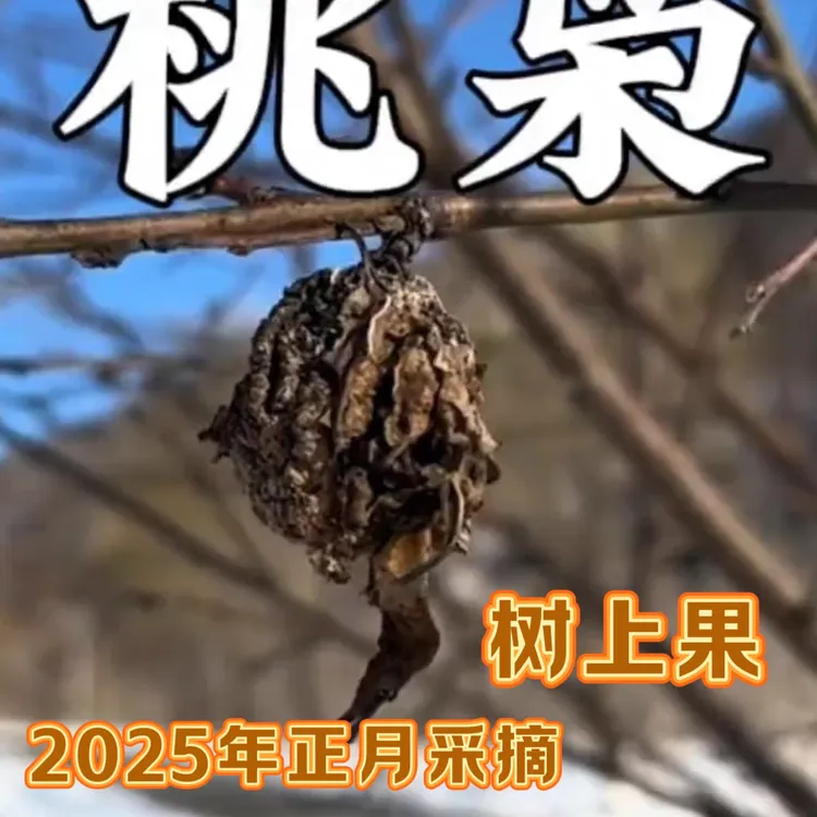 山东核雕饰品材料山桃种子儿童母婴挂件老人吊坠随身带真桃枭山鬼