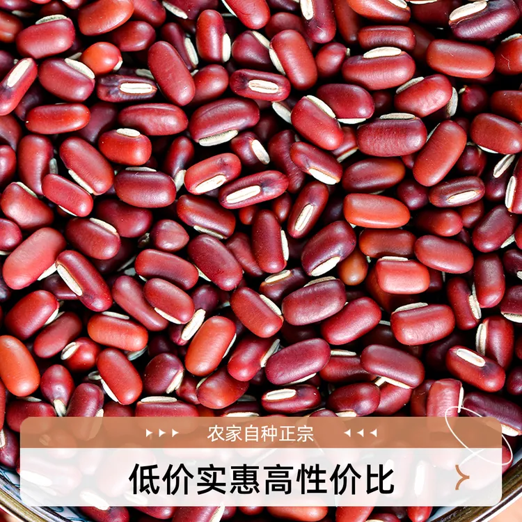 赤小豆2025年新货五谷杂粮长粒红豆子薏米泡水煮粥煲汤打豆浆专用