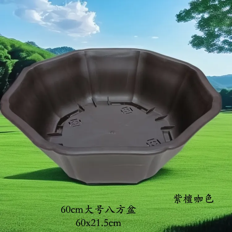 60cm大号八方盆 60x21.5cm  简约环保结实养桩养树盆景树脂花盆