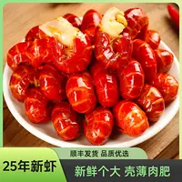 中秋 大特龙虾尾3斤   一斤65-80粒左右/包  送料4份虾炒料 