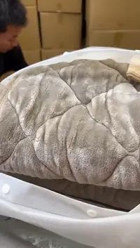 瓷片883聚宝缘二号店
