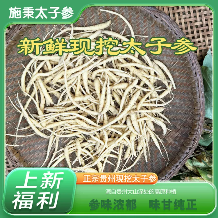 新鲜太子参 贵州施秉现挖现发太子参煲汤煮粥泡水