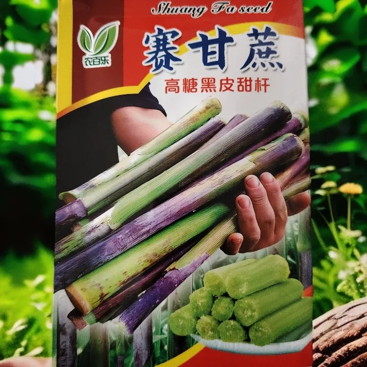 赛甘蔗黑甜杆种子5克左右