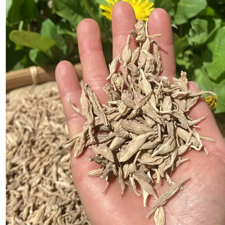 【老李】西藏高海拔下山货藏麦冬