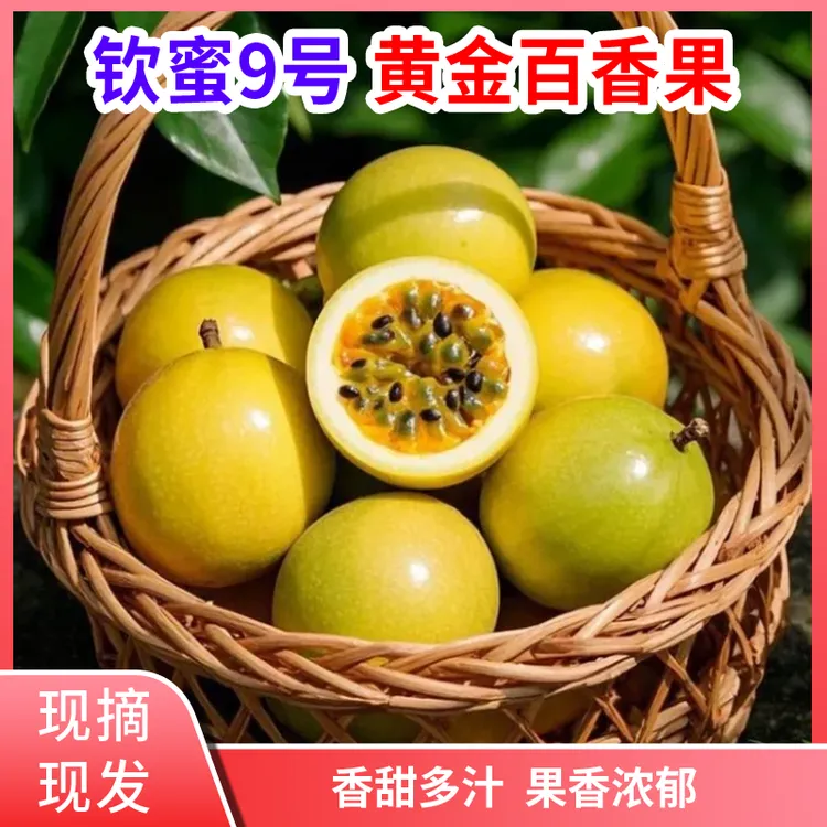 现摘正宗广西钦密9号黄金百香果产地直发应季水果热带【不降级发】