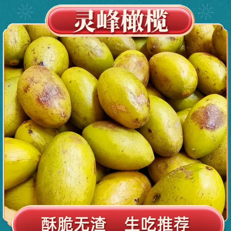 橄榄灵峰橄榄酥脆无渣青枣橄榄生吃新鲜橄榄橄榄果青橄榄食用口感