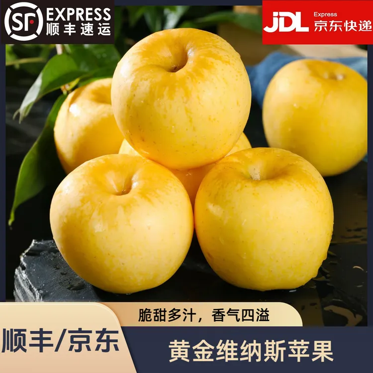 【顺丰/京东】山东黄金维纳斯苹果香甜多汁产地直发现摘脆甜应季