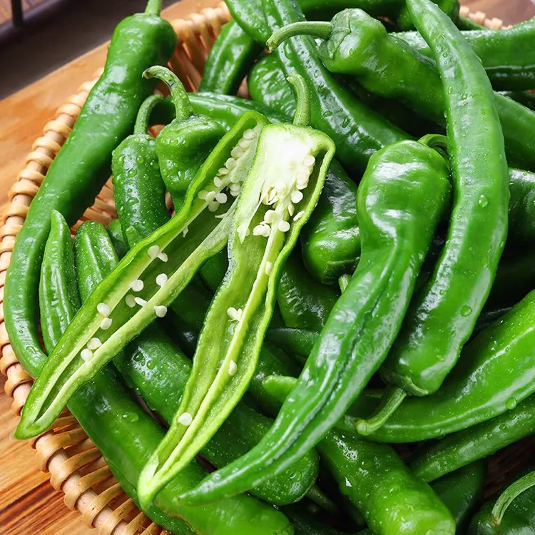 东北吉林辣妹子辣椒特辣辣妹子薄皮辣椒土辣椒下饭菜