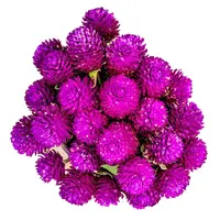 现收山货 云紫罗250克/500克土特产食用农产品 可搭配枸杞