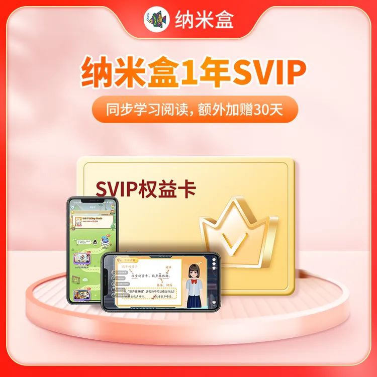 纳米盒SVIP1年卡