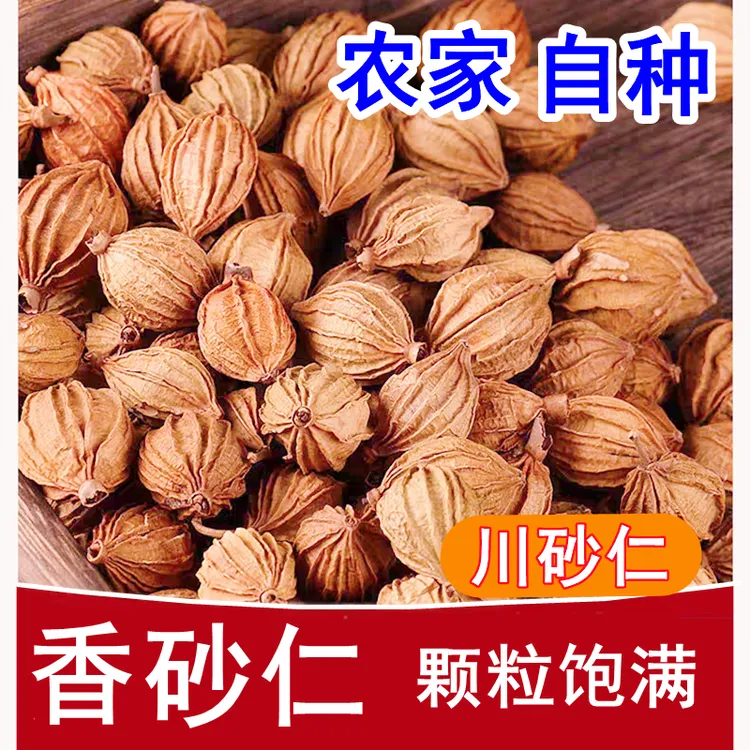 香砂仁川砂仁50g-500g无硫熏农家香砂仁沙仁煲汤卤肉炖肉香料调料