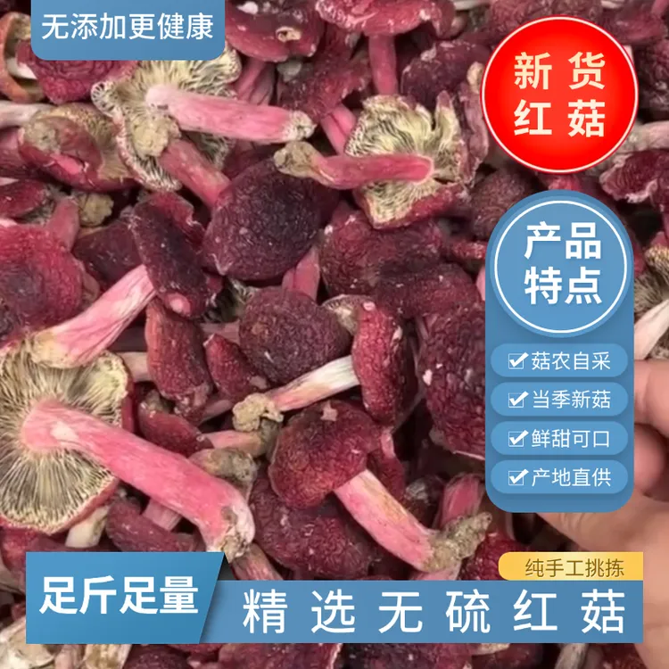红菇干货当季新货红椎菌红蘑菇香菇红菌菇福建特产月子无硫小红菇