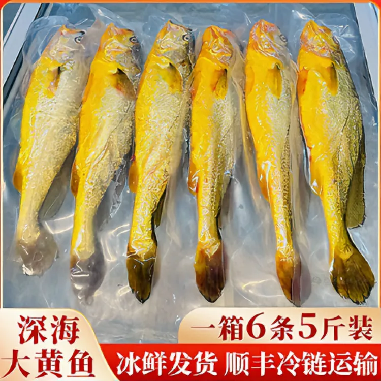 宁德深海大黄鱼，无土腥味无泥腥味，冰鲜发货，顺丰冷链，新鲜到家