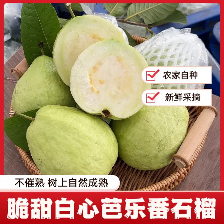 台湾珍珠芭乐正宗白心番石榴低脂清甜爽脆南方当季产地水果直发