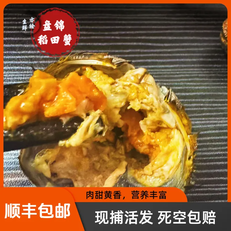 【活蟹】 正宗盘锦河蟹 1.3-1.6两 5斤装 全母 （31-38只）