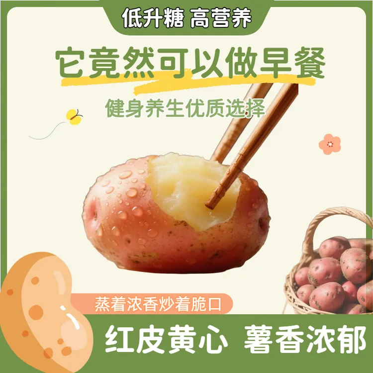 红皮黄心土豆 新鲜现挖 薯香浓郁软糯顺滑 低升糖高营养健身养生