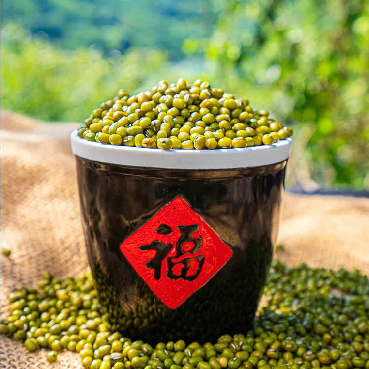 农家绿豆解暑绿豆绿豆百合汤正宗绿豆粥绿豆糕纯天然上等绿豆
