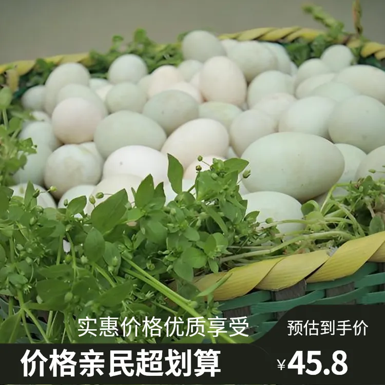 正宗农家散养新鲜鸭蛋新鲜生鸭蛋鸭蛋新鲜鸭蛋鸭蛋咸鸭蛋生鸭蛋