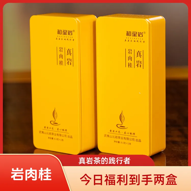 和星岩【岩肉桂】武夷岩茶岩肉桂品鉴装茶叶品鉴装岩茶肉桂高端岩茶