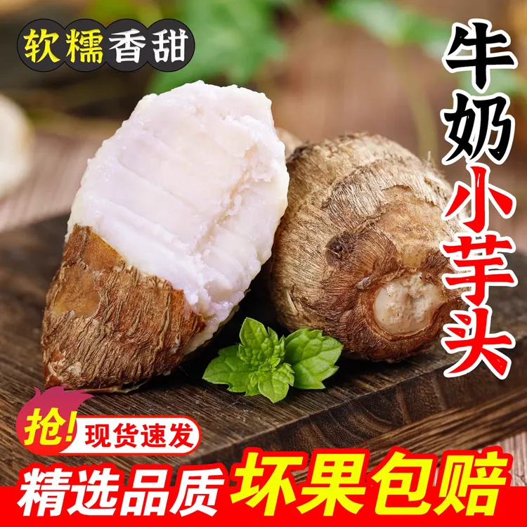 批发山东新鲜现挖牛奶小芋头粉糯香甜细腻嫩滑当季蔬菜