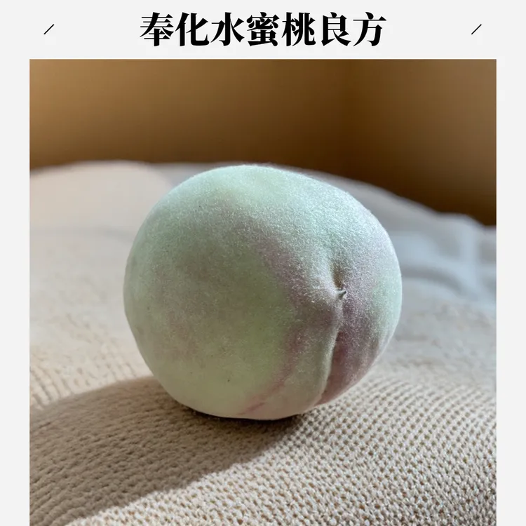 宁波奉化水蜜桃新鲜现摘脆甜多汁应季水果鲜甜多汁桃子
