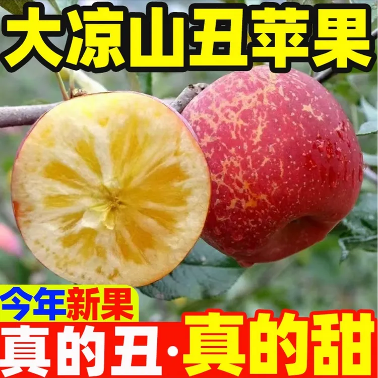 正宗丑苹果现采现发产地直发5斤装脆甜包邮到家