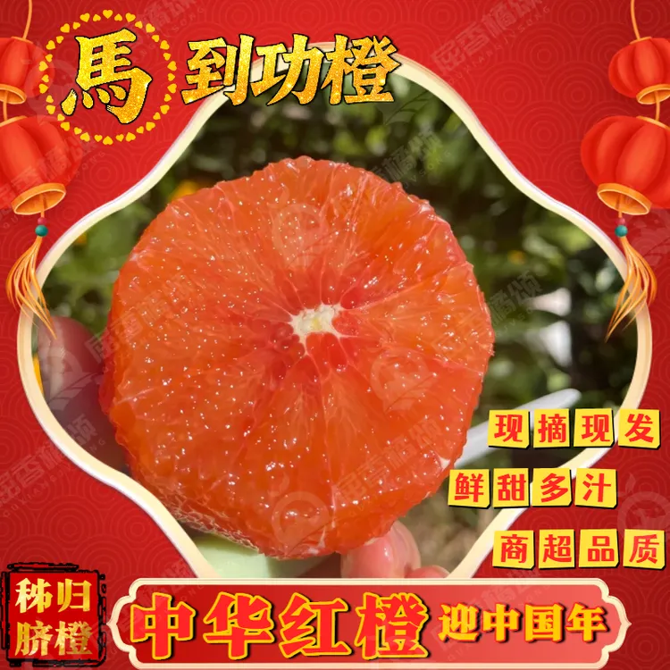 秭归中华红橙新鲜脐橙甜多汁橙香浓郁产地现摘现发不打蜡不催熟
