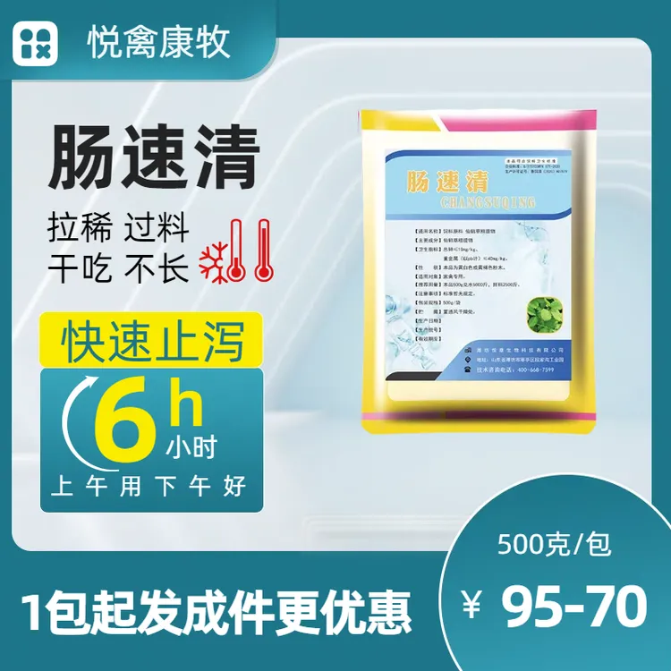 家禽养殖肠道问题专家---肠速清