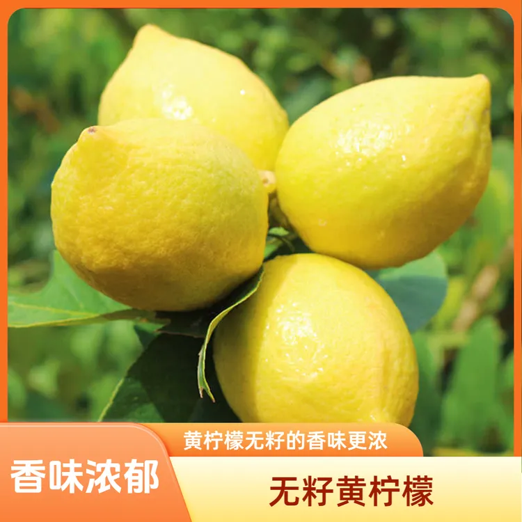 香水无籽黄柠檬新鲜当季现摘果香浓郁汁水丰富酸甜水果