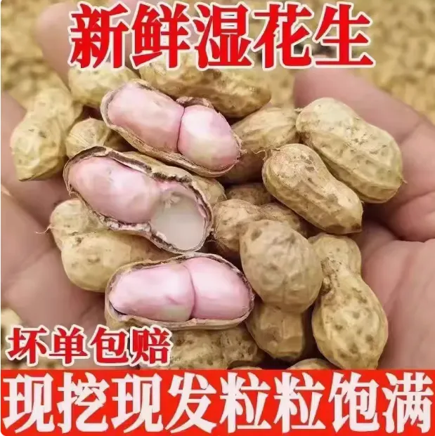 固始本地新鲜花生