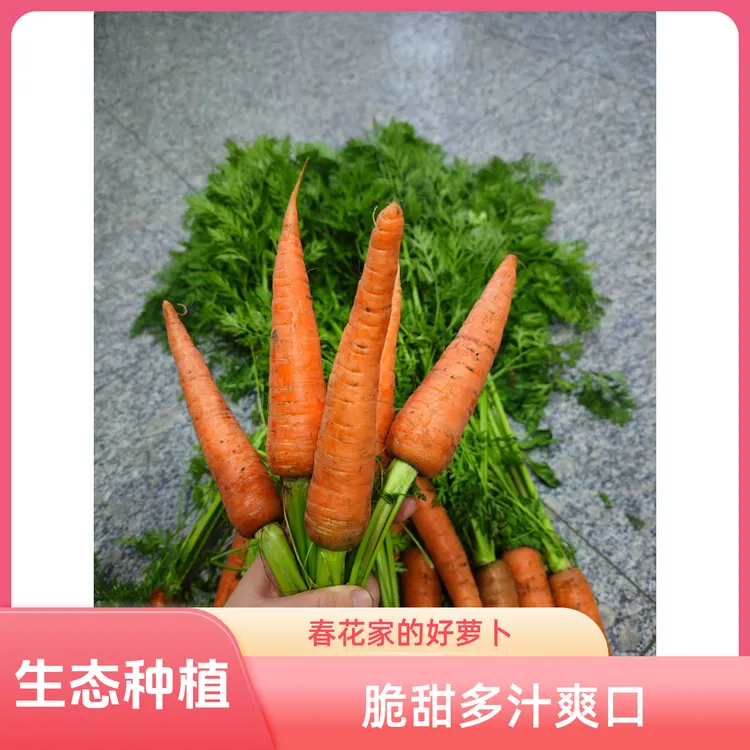 基地自己种的胡萝卜，熟食软糯，生食脆甜，两个口感混发