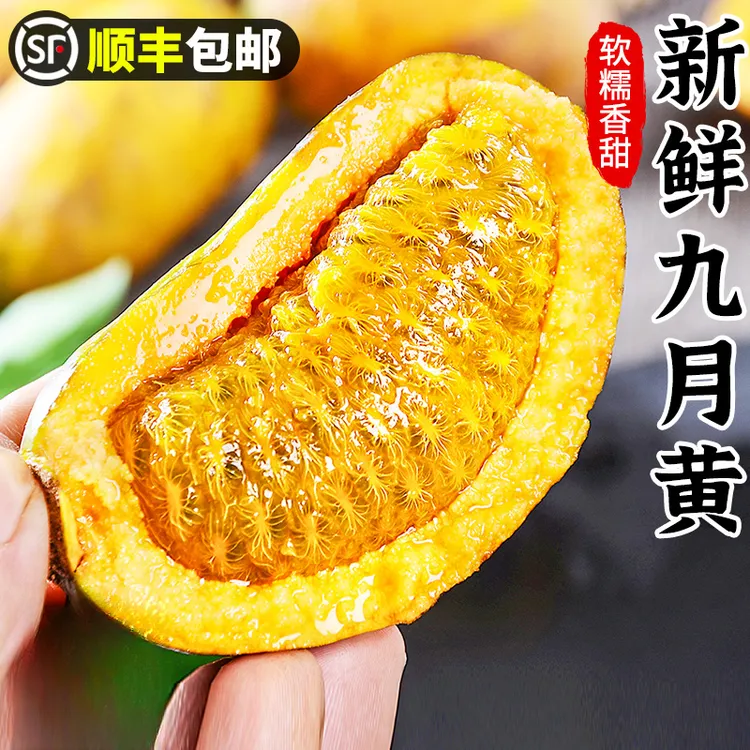 新鲜九月黄3斤5斤应季水果拿麻藤包牛卵坨八月瓜木通果特产