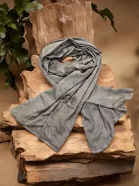 粉丝专属特权女装之无题250531