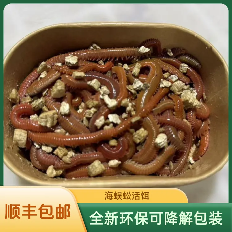 海蜈蚣，活沙蚕，海钓鱼饵顺丰包邮红虫青海蚯蚓路亚饵鲈鱼饵包活