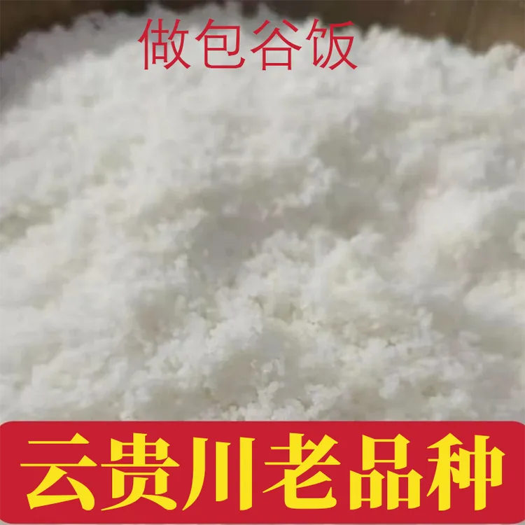 贵州白玉米面玉米粉新玉米面粉白面棒子面无添加正宗石磨杂粮面粉