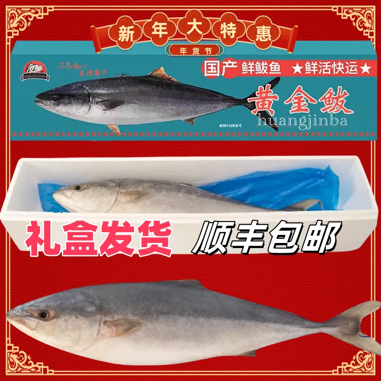 黄金大鲅鱼黄狮鱼新鲜冷冻黄金鲅鱼海鱼礼盒装特大顺丰包邮