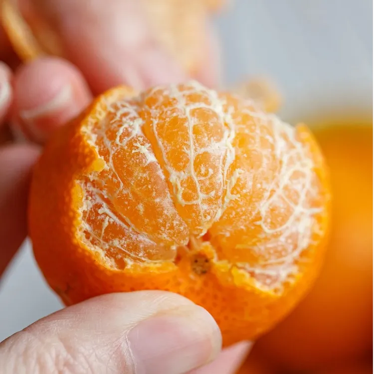 正宗优质肇庆封开沙糖橘新鲜应季沙糖橘子砂糖桔沙糖桔