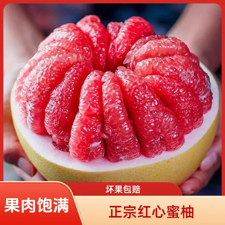 【福建平和】红心蜜柚当季鲜果肉厚多汁老少皆宜Z1