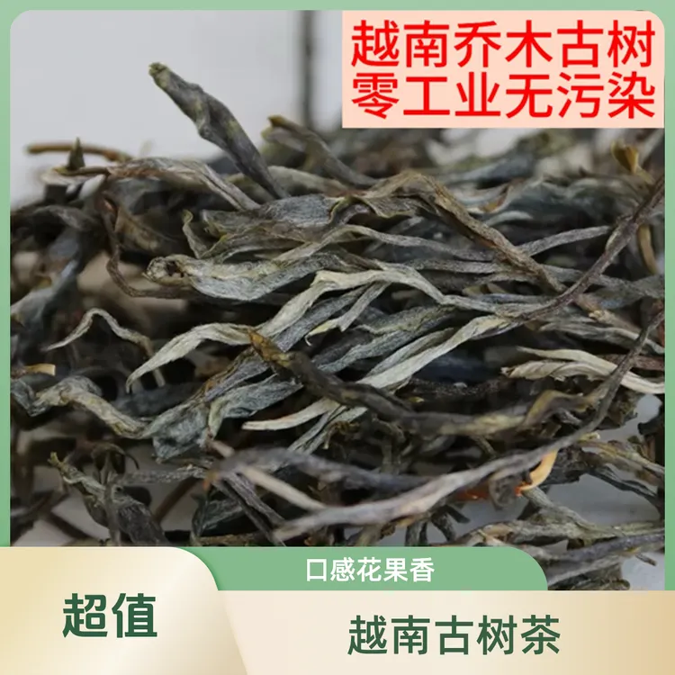 越南古树茶嗮青香甜可口回甘香甜花果香