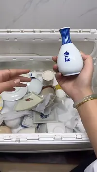 【闪购商品】290回流瓷器默认微瑕，18.8包邮