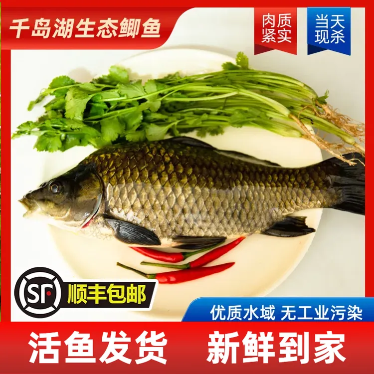 【活鱼】千岛湖黄金鲫鱼鲜嫩无泥腥味煲汤鱼老人小孩孕妈妈顺丰到家
