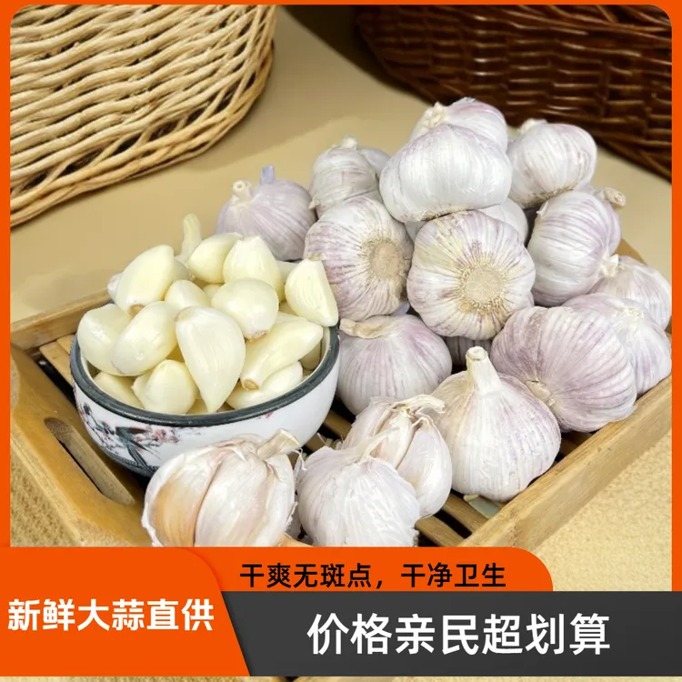 【破价拍】2025特大新干蒜农家自然晾晒紫皮白净大蒜头