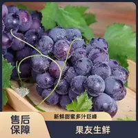 【新鲜应季巨峰葡萄】净果3斤/1份  太原晋中吕梁忻州购买